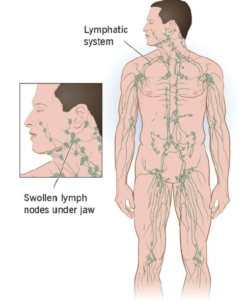 Nodes